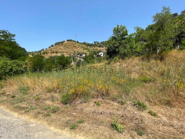 Terreno in vendita di 2000 m² in Via Vallone di Rovito, 87100