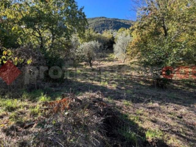Terreno in vendita di 2000 m² in Via vignali