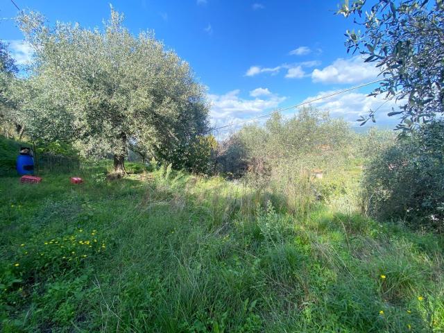 Terreno in vendita di 2000 m² in Via Aurelia Nord