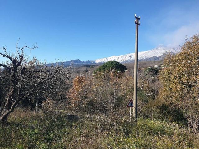 Terreno in vendita di 2000 m² in Via Fossapoliti Taverna