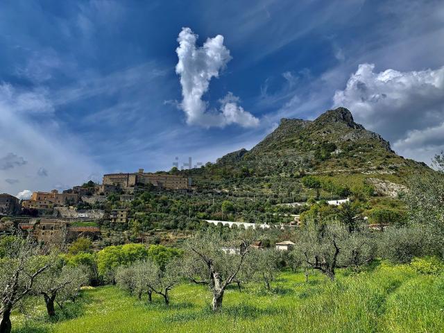 Terreno in vendita di 2000 m² in Via Madonna di Loreto