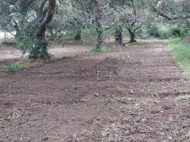 Terreno in vendita di 2000 m² in Via Nazionale