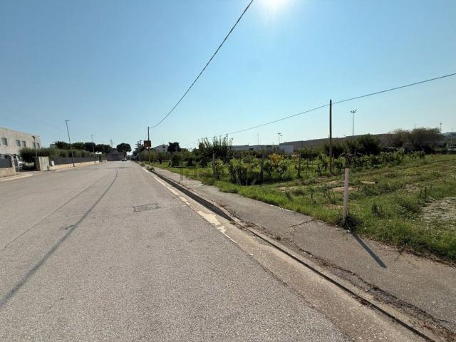 Terreno in vendita di 2000 m² in Via Senatore Umberto Terracini