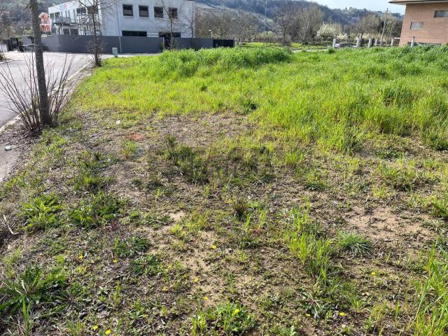 Terreno in vendita di 2000 m²