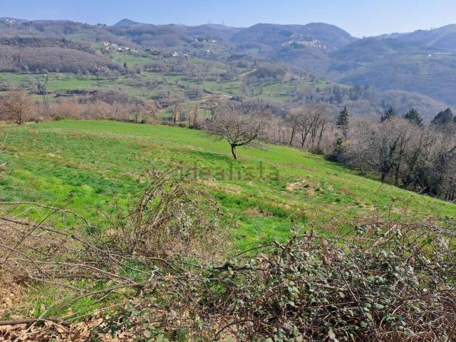 Terreno in vendita di 20035 m²