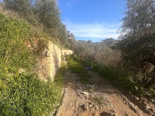 Terreno in vendita di 200 m² in Via fanny roncati carli