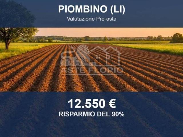 Terreno in vendita di 200 m² in Via Paolo Vannucci, 10