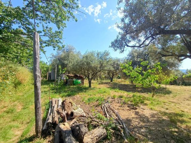 Terreno in vendita di 2010 m² in Contrada colle di natoli, 7