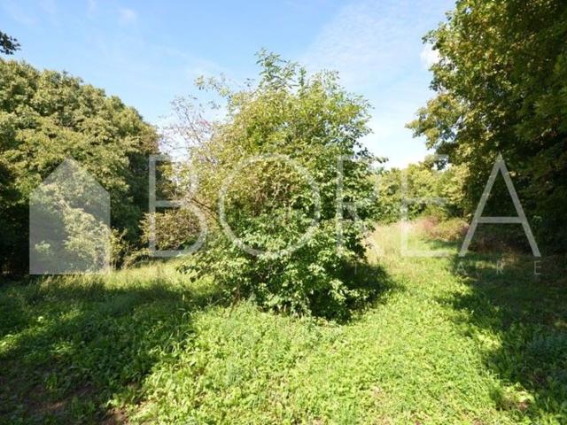 Terreno in vendita di 2032 m²