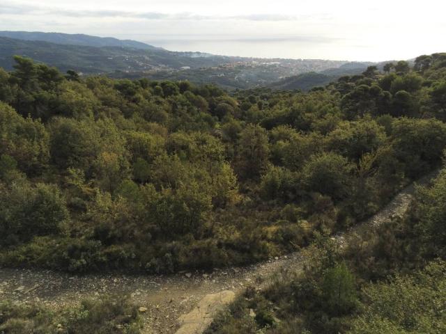 Terreno in vendita di 214000 m² in Località Merea