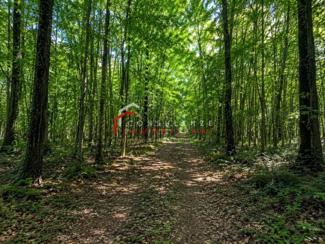 Terreno in vendita di 21532 m² in Via degli Alpini