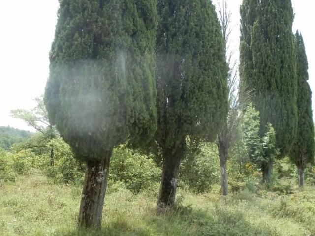 Terreno in vendita di 216000 m² in Località San Polo