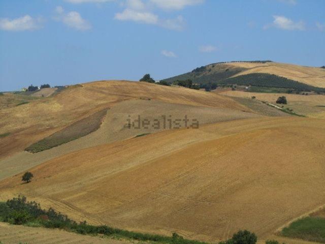 Terreno in vendita di 21700 m² in Strada del Colle di Rutia
