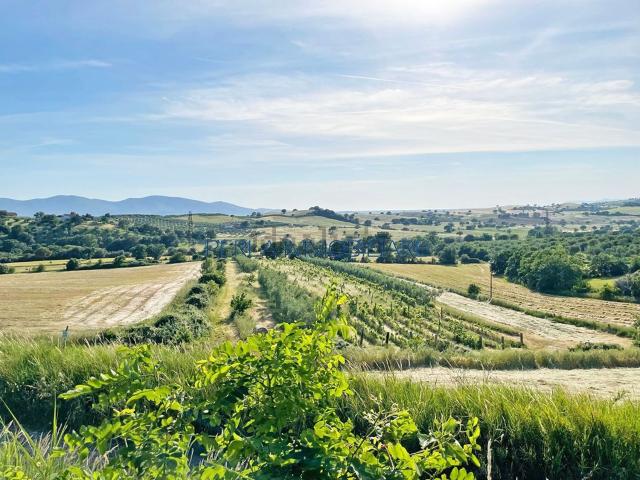 Terreno in vendita di 210000 m² in Strada provinciale di montiano