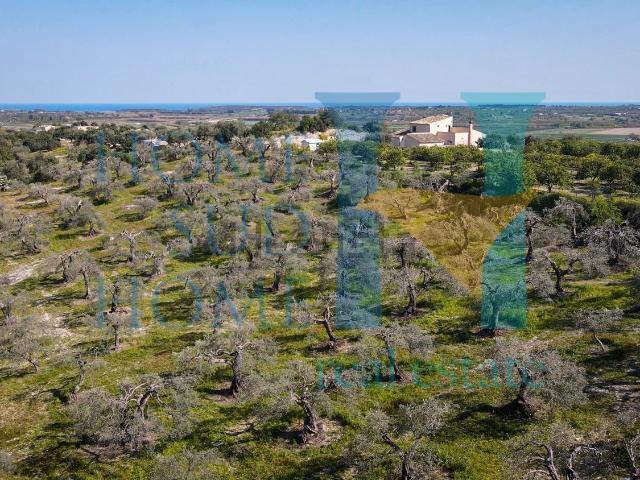 Terreno in vendita di 21000 m² in Via Tommaso Fazello, 228