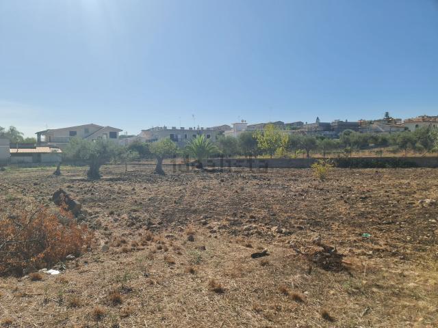 Terreno in vendita di 2100 m² in Via San Rita da Cascia