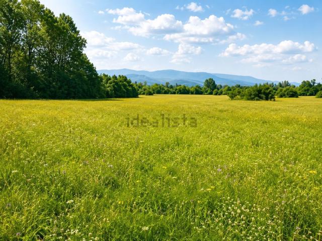 Terreno in vendita di 2120 m² in Via Casalino