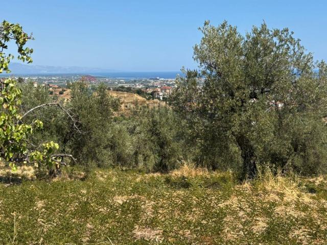 Terreno in vendita di 21220 m² in Via Cannata