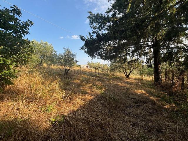 Terreno in vendita di 2128 m² in Strada Fastello