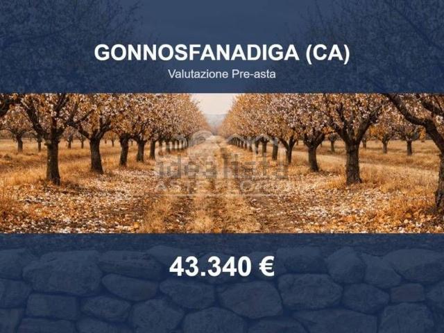 Terreno in vendita di 213330 m² in Strada Senza Nome