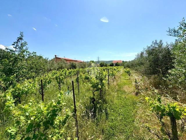 Terreno in vendita di 2241 m²