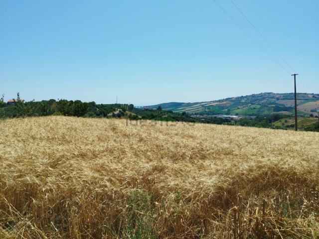 Terreno in vendita di 22511 m² in Via Pagliarette