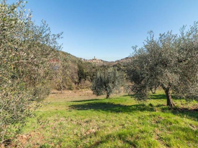 Terreno in vendita di 22577 m² in Via della Torre