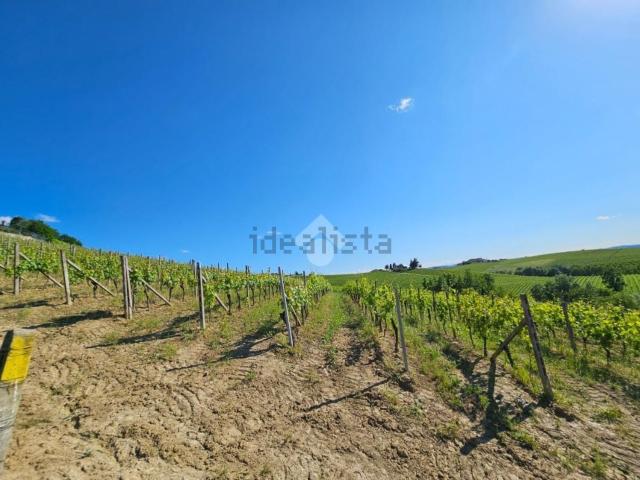 Terreno in vendita di 22818 m² in Strada Alessandria, 74