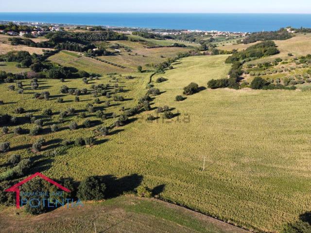 Terreno in vendita di 220000 m² in Contrada Casette Antonelli