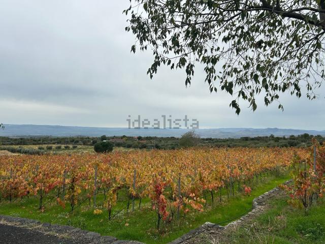 Terreno in vendita di 220000 m² in Strada Provinciale 56ii
