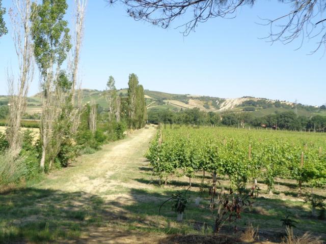 Terreno in vendita di 220000 m² in Via Comezzano