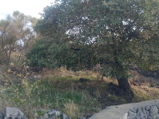 Terreno in vendita di 22000 m²