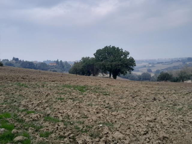 Terreno in vendita di 22000 m²