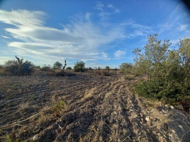 Terreno in vendita di 22000 m²
