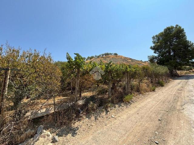 Terreno in vendita di 22000 m²