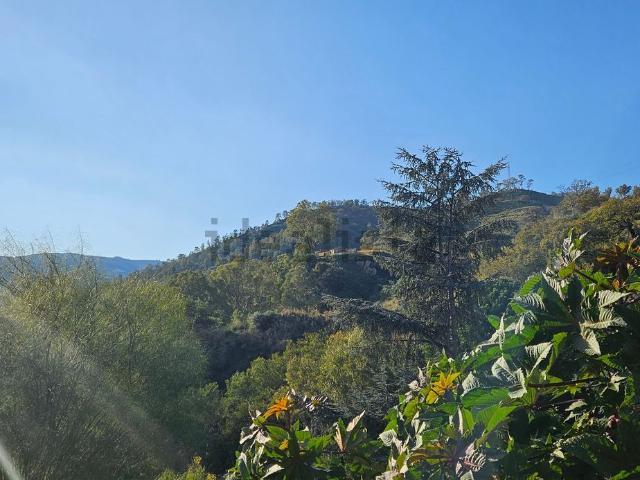 Terreno in vendita di 22000 m² in Contrada Abatia