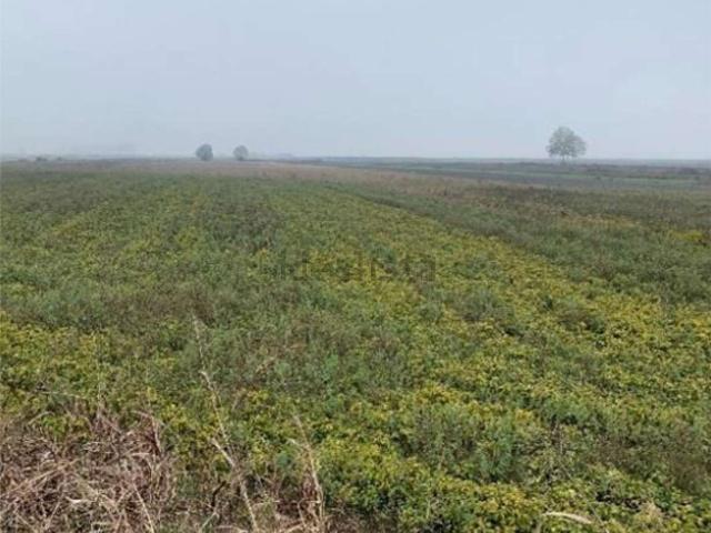 Terreno in vendita di 22003 m² in Piazzale Ponte Fior di Rosa