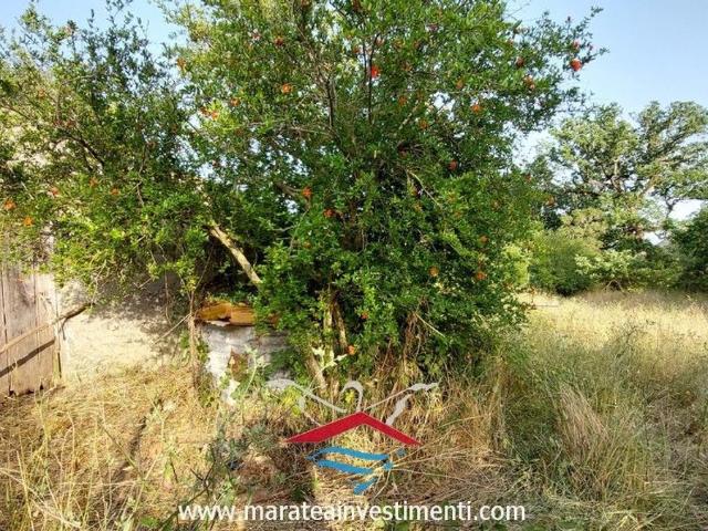 Terreno in vendita di 2200 m² in Via MASSA PIZZARONE