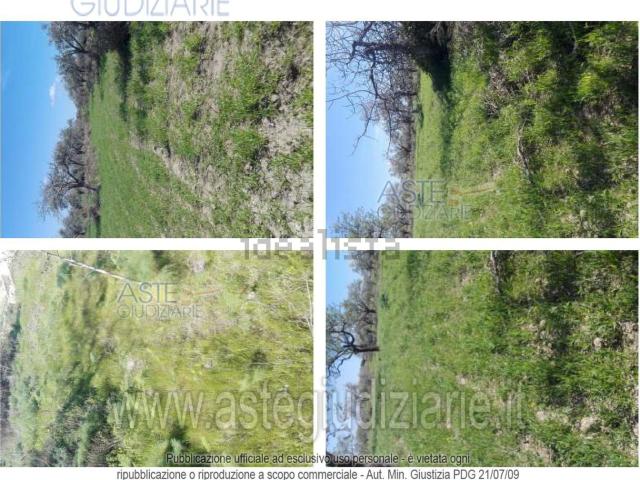 Terreno in vendita di 223711 m²