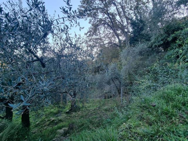 Terreno in vendita di 2346 m² in Strada degli Olandesi