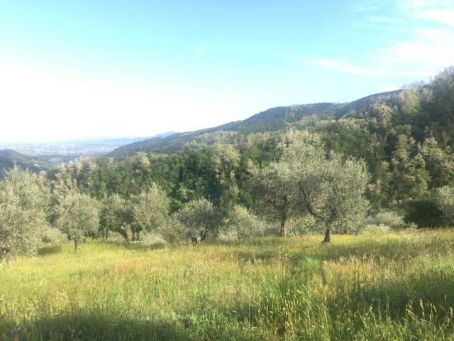 Terreno in vendita di 2350 m²