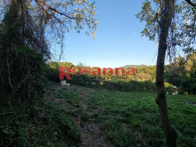 Terreno in vendita di 2355 m² in Via della Padula, 57124