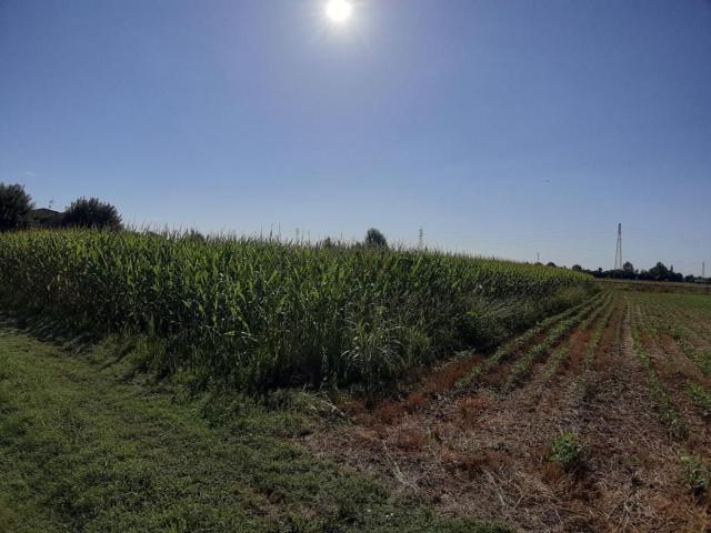 Terreno in vendita di 2384 m² in Via Monte Pasubio, 49