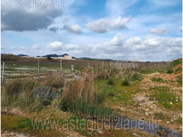 Terreno in vendita di 23875 m² in Strada Statale 131 Carlo Felice, 300