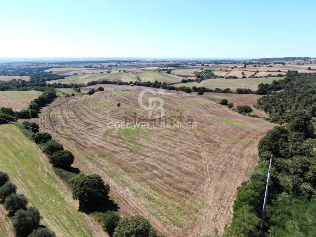 Terreno in vendita di 230000 m² in Strada Senza Nome