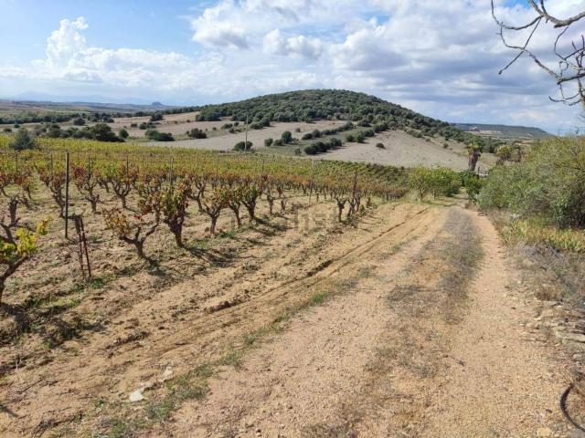 Terreno in vendita di 23000 m² in Via Sibiola