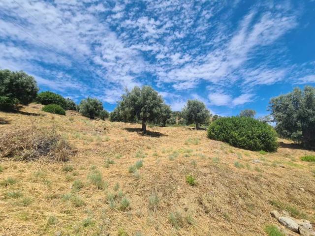 Terreno in vendita di 23000 m² in Strada senza nome