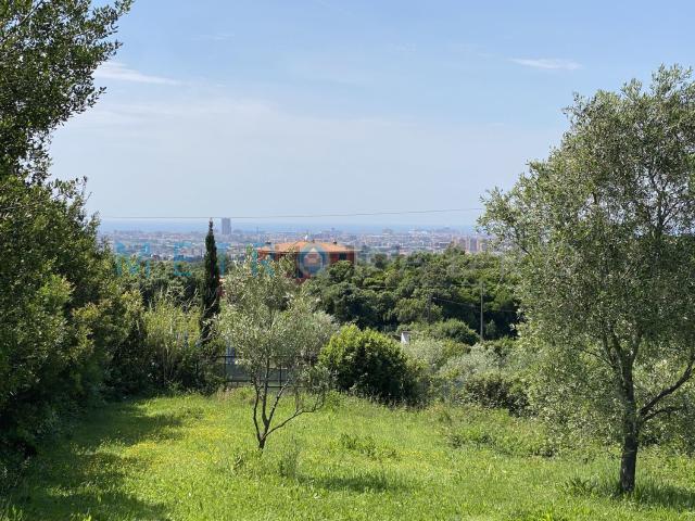 Terreno in vendita di 2300 m² in Località Lazzeretto