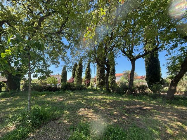 Terreno in vendita di 2300 m² in Via Cassia Nord