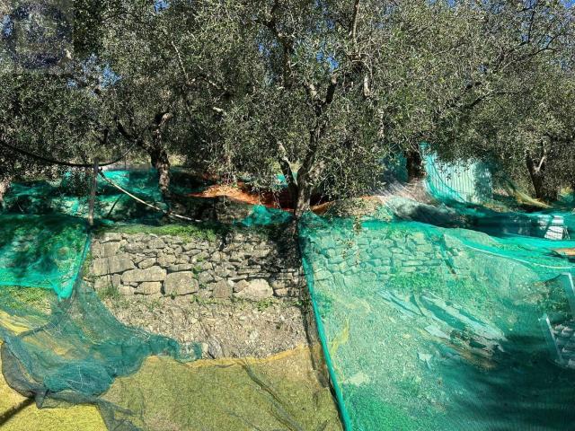 Terreno in vendita di 2300 m² in Via Dante Alighieri